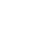 Webinar